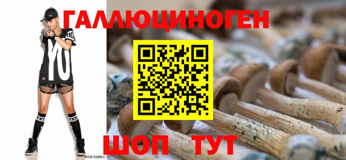 Псилоцибиновые грибы GOLDEN TEACHER  Вход с VPN  Галлюциногенные грибы Magic Shrooms  Луховицы 